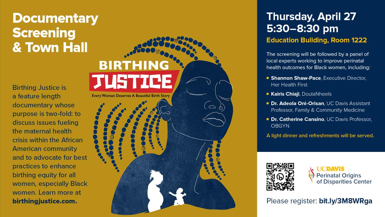 Picture of Birthing Justice promotional poster